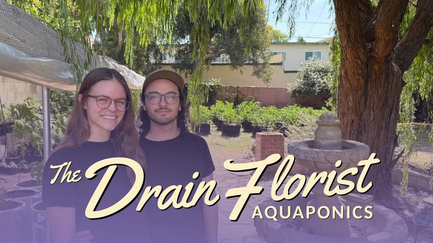 The Drain Florist brand and content case study