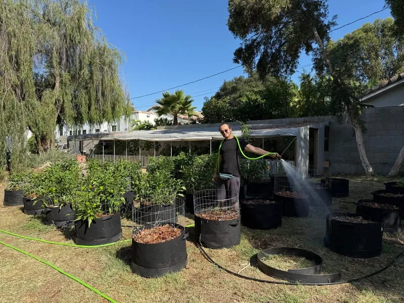 Noah watering the grow bags