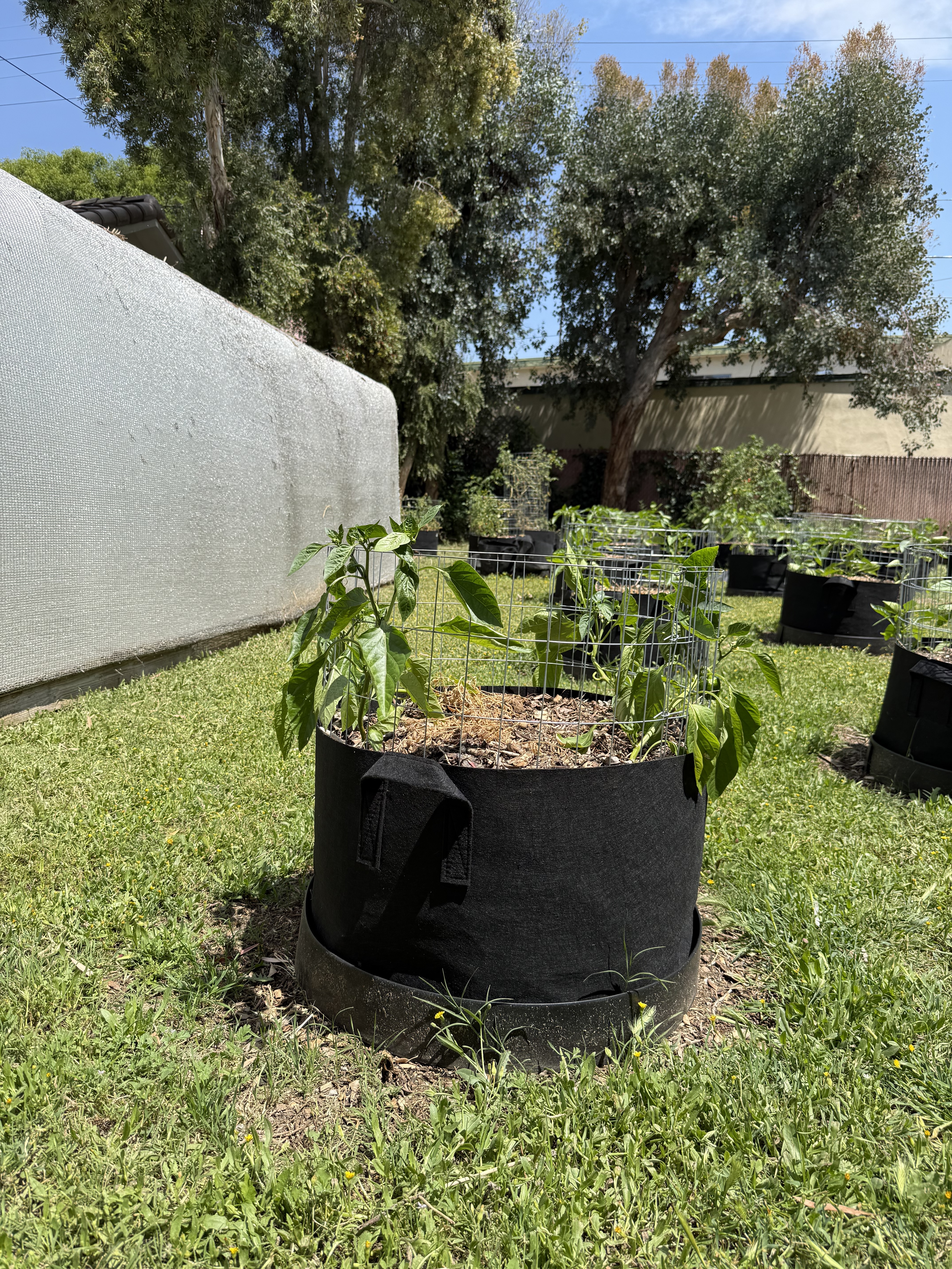 Garden Grow Bags