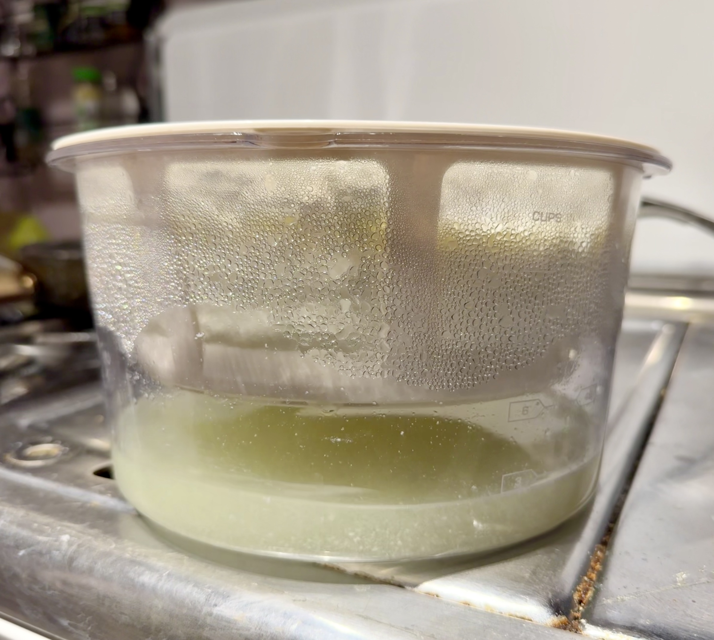Yogurt Strainer